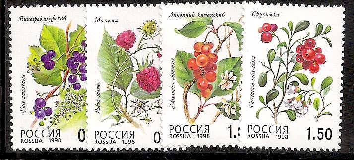 Soviet Russia - 1996-2014 Year 1998 Scott 6462-66 Michel 668-72 