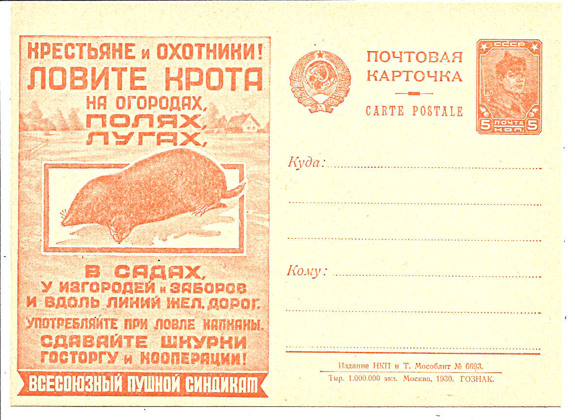 Postal Stationery - Soviet Union POSTCARDS Scott 2548 Michel P91-II-48 