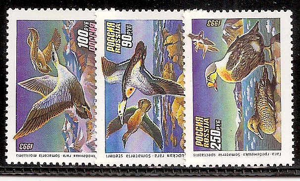 Soviet Russia - 1991-95 YEAR 1993 Scott 6155-7 Michel 320-2 