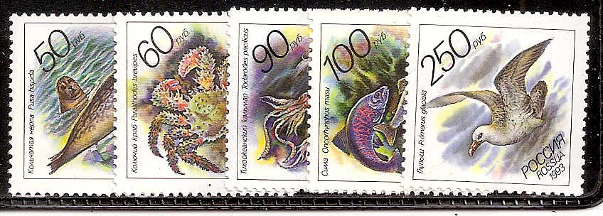 Soviet Russia - 1991-95 YEAR 1993 Scott 6158-62 Michel 323-7 