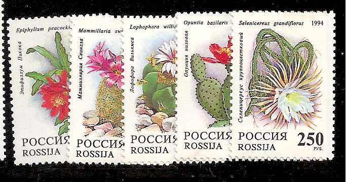 Soviet Russia - 1991-95 YEAR 1994 Scott 6196-00 