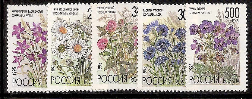 Soviet Russia - 1991-95 Year 1995 Scott 6259-63 