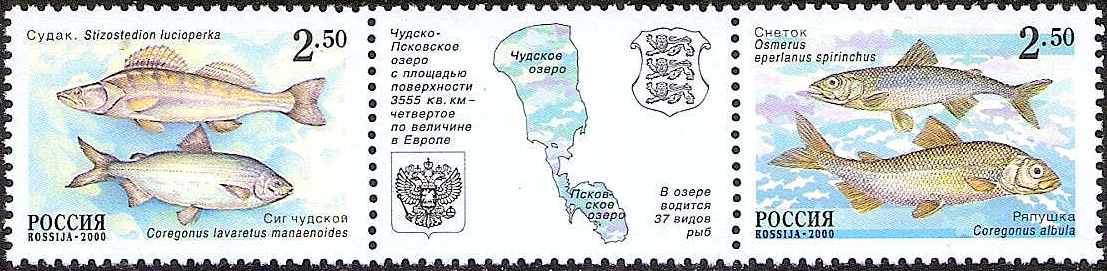 Soviet Russia - 1996-2014 Year 2000 Scott 6607 