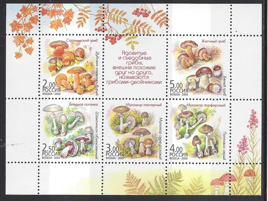 Soviet Russia - 1996-2014 Year 2003 Scott 6789f 