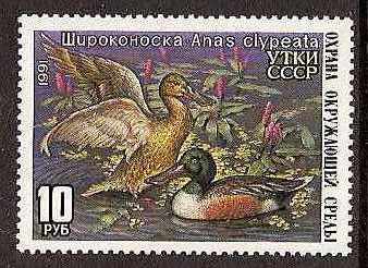 Russia -Duckstamps DUCK stamps 