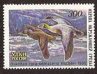 Russia -Duckstamps DUCK stamps 