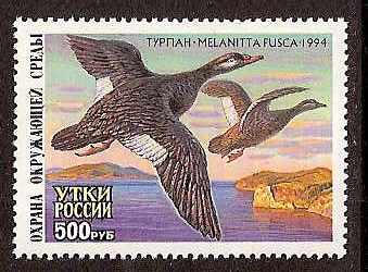Russia -Duckstamps DUCK stamps 