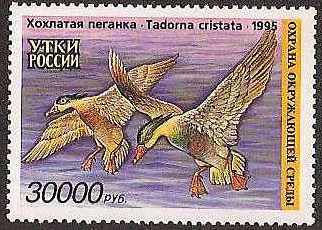 Russia -Duckstamps DUCK stamps 