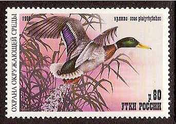 Russia -Duckstamps DUCK stamps 