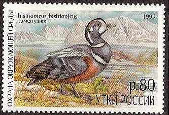 Russia -Duckstamps DUCK stamps 