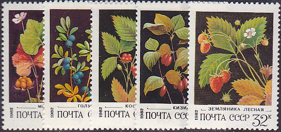 Soviet Russia - 1982-1985 YEAR 1982 Scott 5023-7 Michel 5155-9 