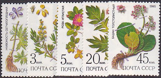 Soviet Russia - 1982-1985 YEAR 1985 Scott 5379-83 Michel 5528-32 