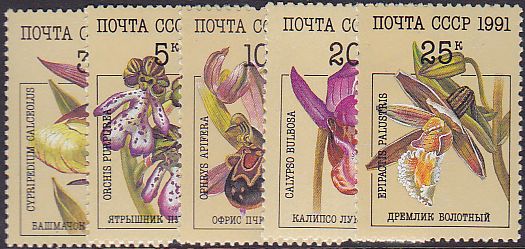 Soviet Russia - 1991-95 YEAR 1991 Scott 5994-8 Michel 6192-6 